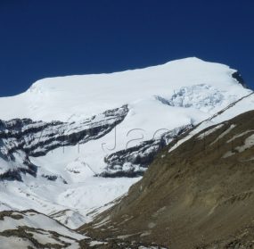 https://www.nativeeverest.com.np/wp-content/uploads/2020/11/Putha-Hiunchuli-285x279.jpg